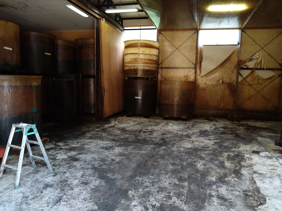 活動報告第3回目