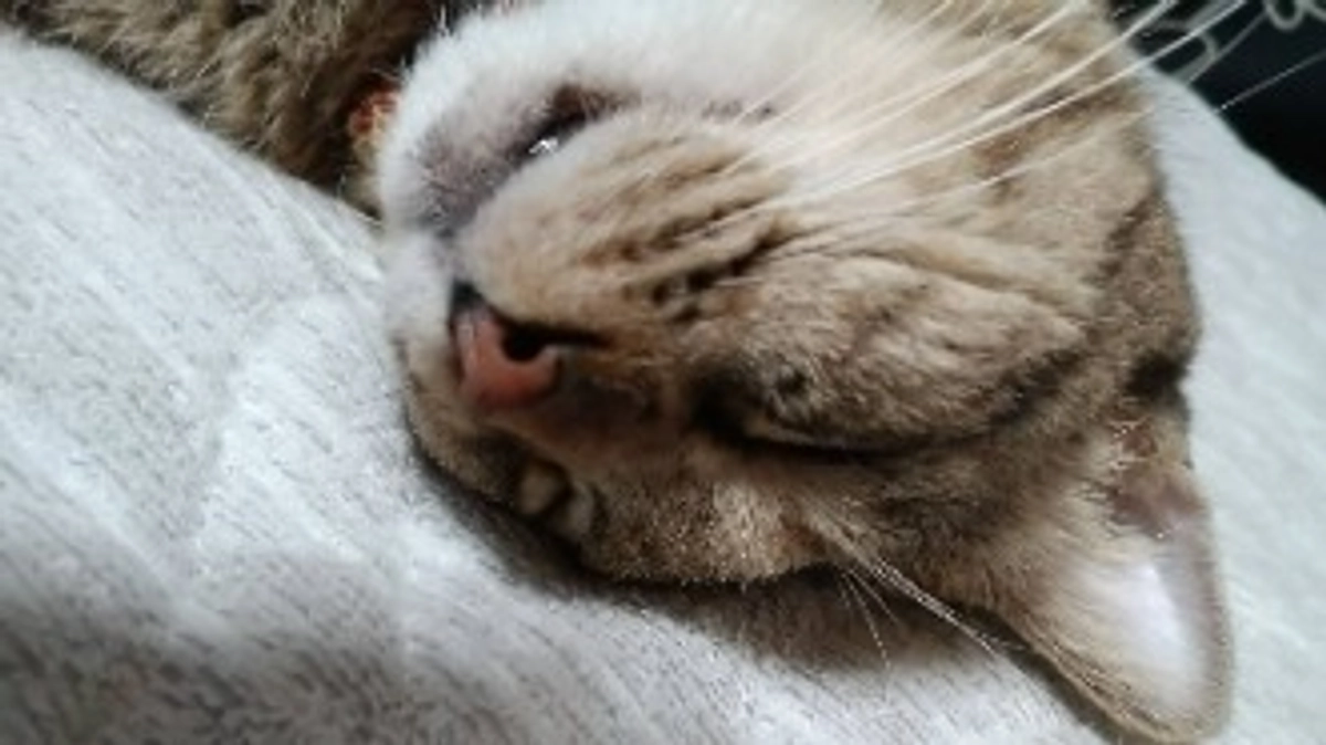 9月8日〈投薬61日目〉