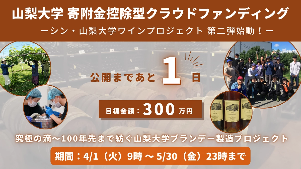 シン・山梨大学ワインプロジェクト第二弾・明日公開！