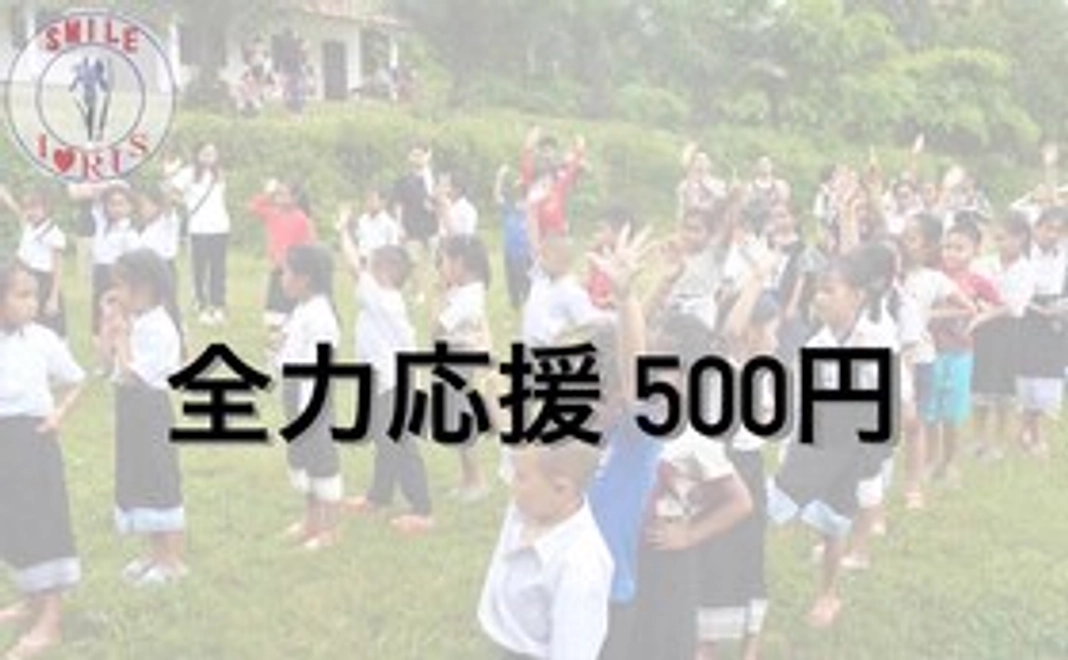【全力応援】リターンが不要な方向け　￥500