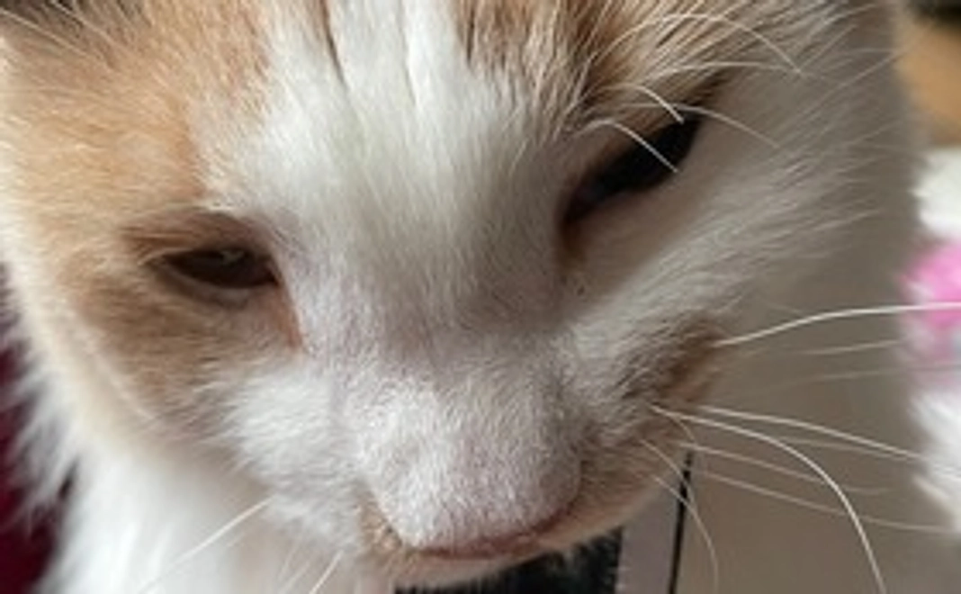 ご支援よろしくお願いいたします。②