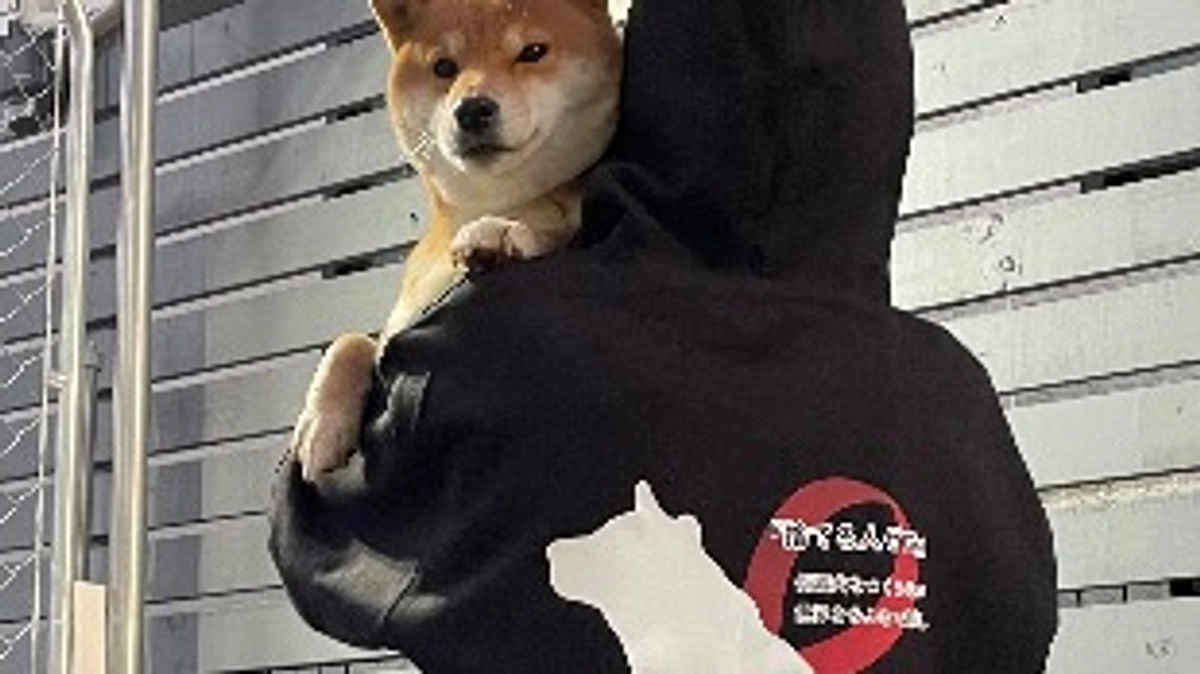 殺される社会と生きれる社会