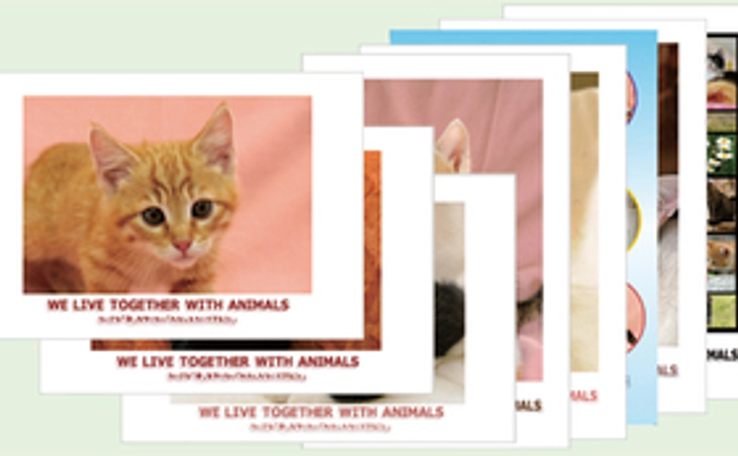 オリジナルポストカード5枚セット