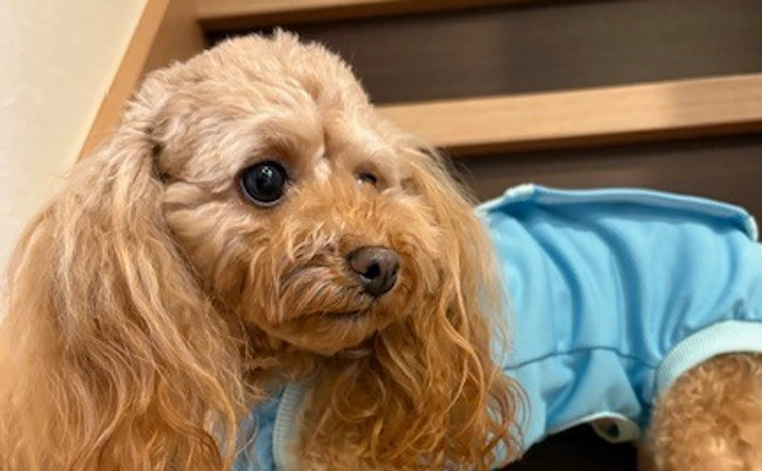 ゆむのサポーターになってください！No.6