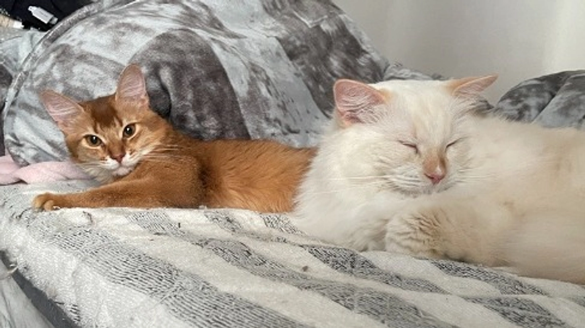 ★2023年12月2日：投薬74日目★