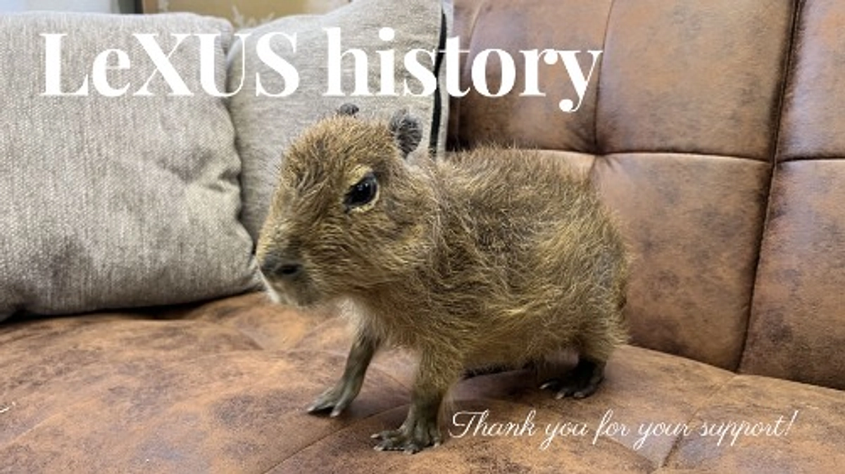 レクサスを家族のもとに戻そう！レクサスヒストリー動画