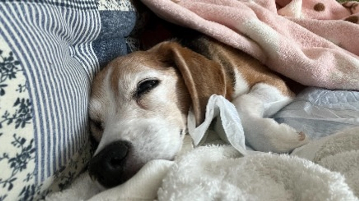 10/13 募集期間も折り返し地点になり、残り15日になりました。