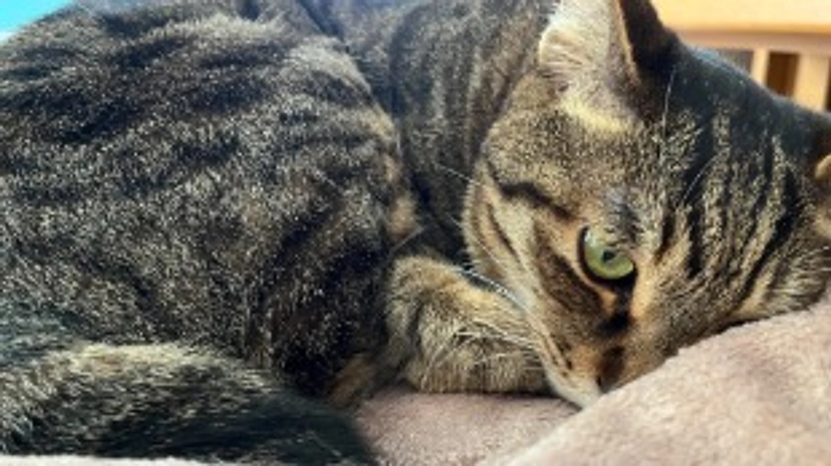 【なっちゃんの異変】1月27日