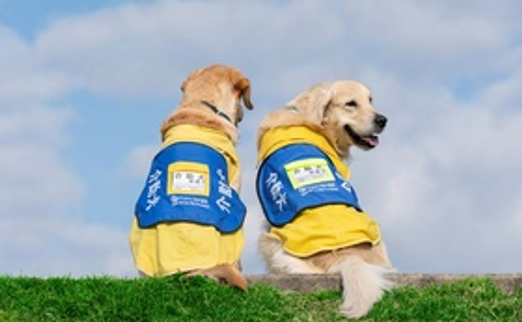 訓練犬へおやつの寄贈【5個】