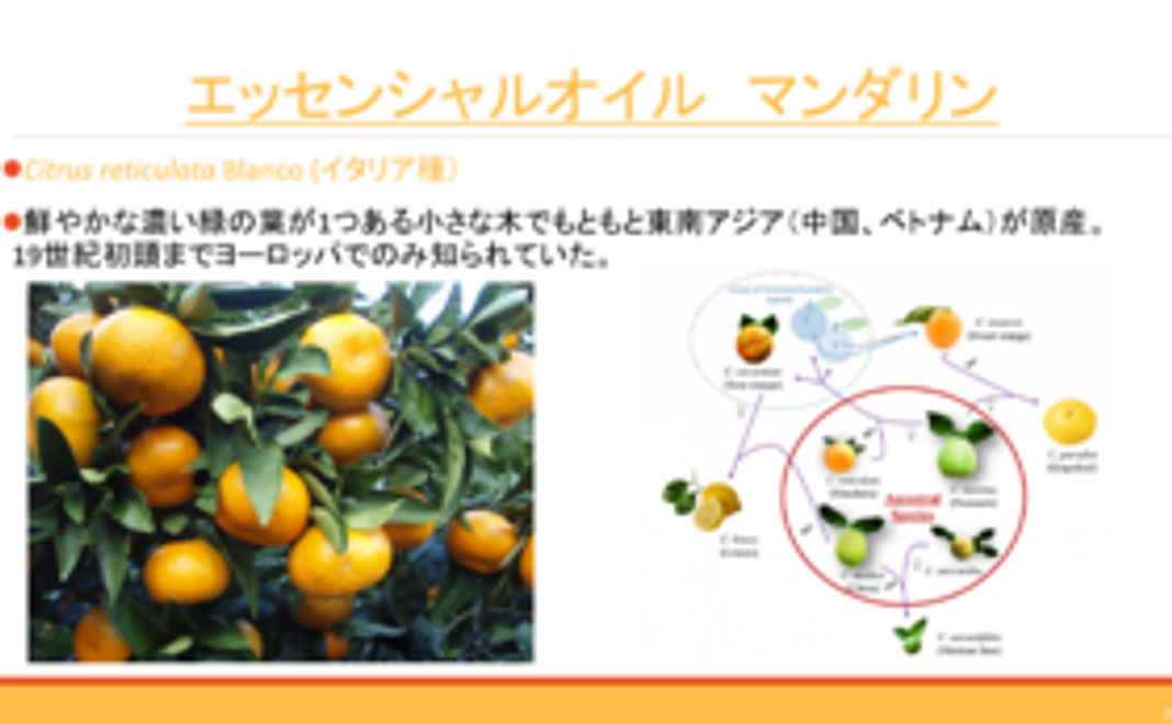 香料講座　天然香料柑橘系の香り　香料付き
