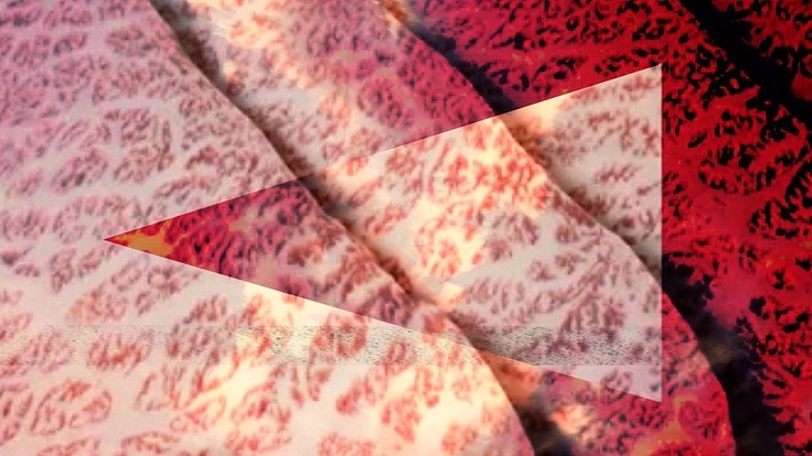 和牛希少各部位ユッケ販売の認可に伴う施設・必需品の確保に向けて