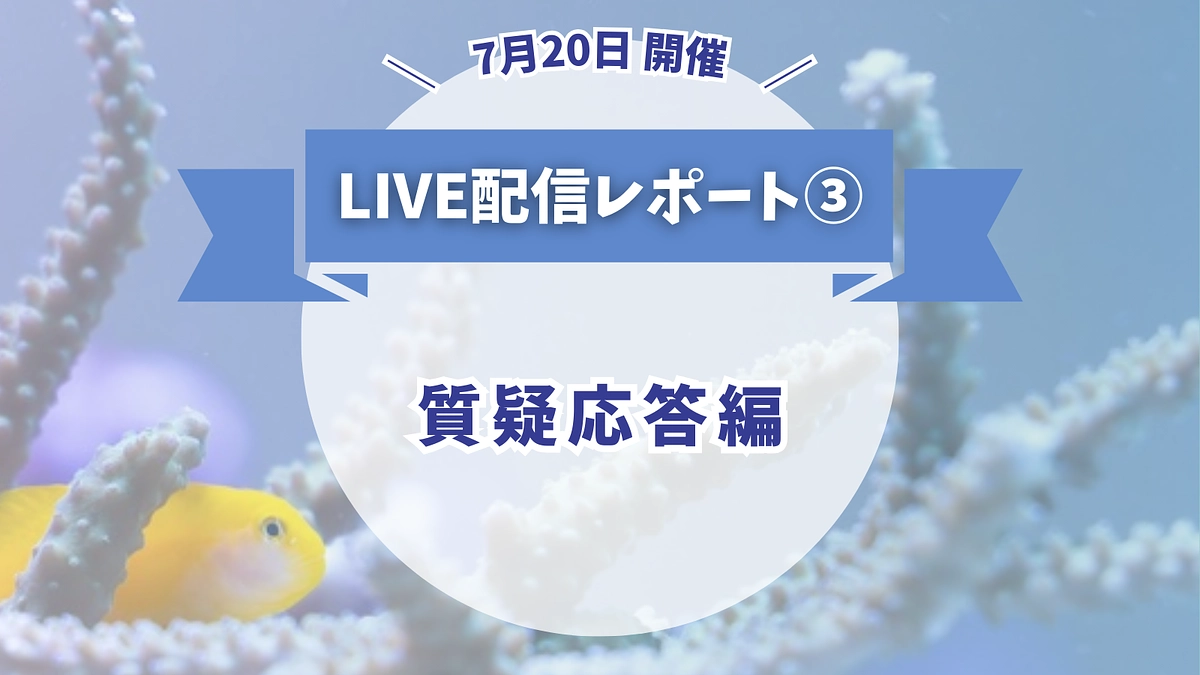 【7/20開催LIVE配信レポート③】質疑応答編