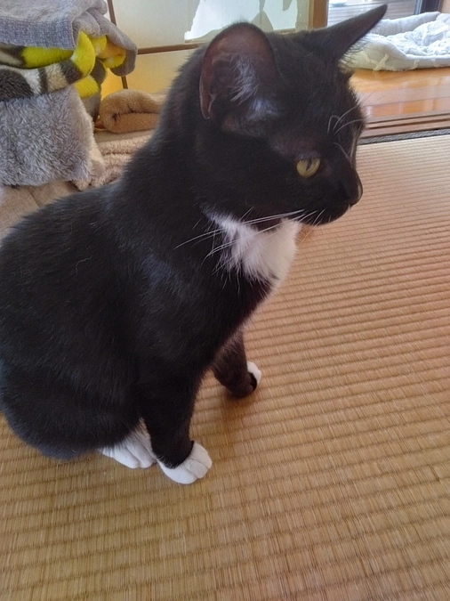 4/21はなちゃんの様子