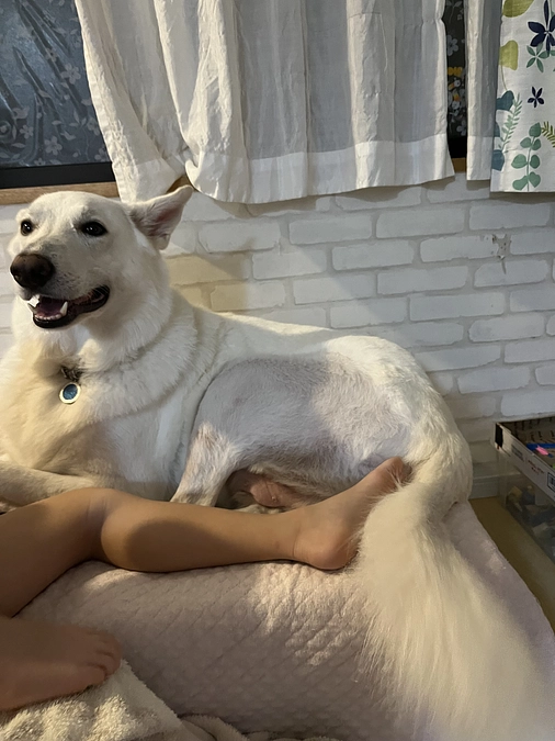 プロジェクト3日目の夜