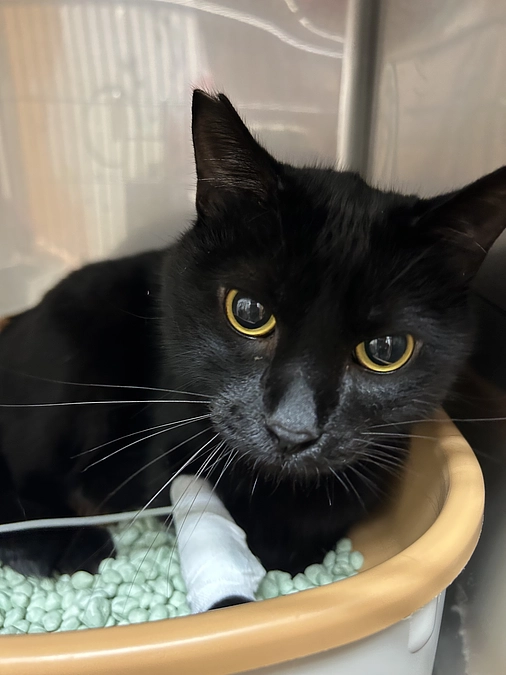 【また医療費が。。。💦】とはいえ必要なんです。。。