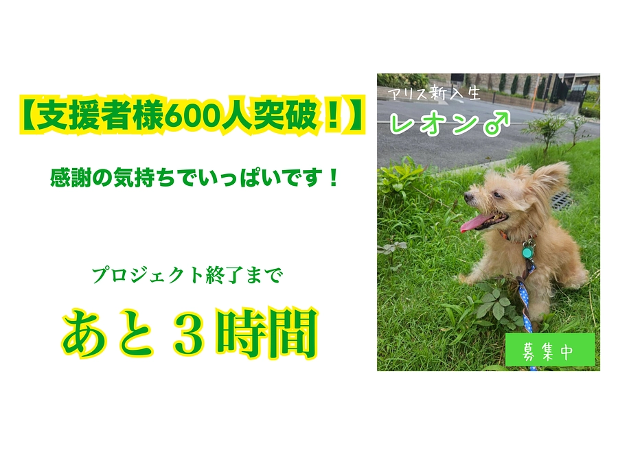 【支援者様600人突破！】たくさんのご支援ありがとうございます！〜プロジェクト終了まであと3時間〜
