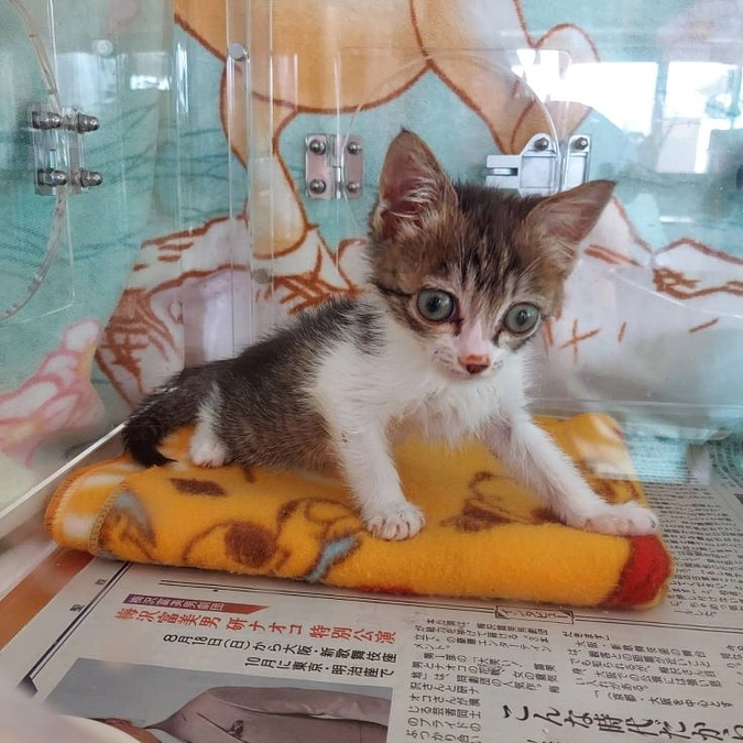 ご支援ありがとうございます。