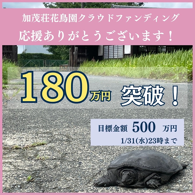 180万円突破！【加茂荘花鳥園のスタッフ紹介】花菖蒲スタッフリーダー　杉山さん