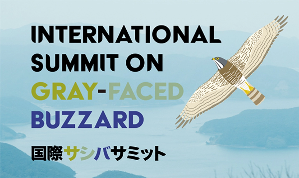 国際サシバサミットアーカイブ