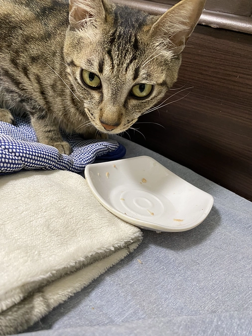 8月17日 復活の兆し！