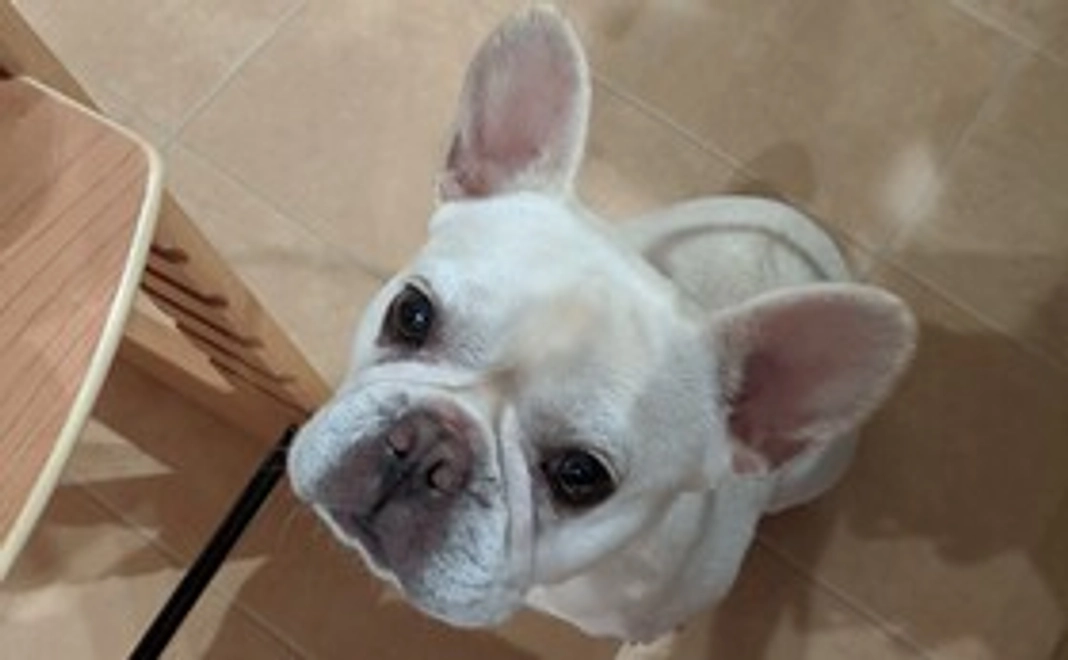 ココロがんばれ！応援コースA.