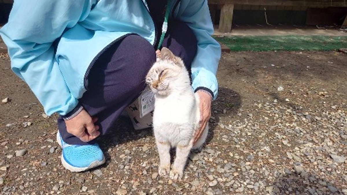 気持ちは決まりました