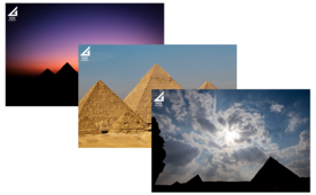 【ギザメンバー】HPへご芳名掲載権