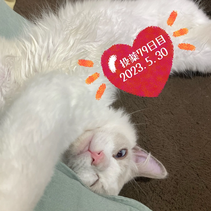 投薬７９日目(2023.5.30)