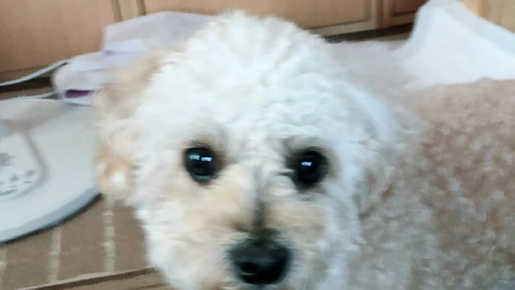 従業員さんを雇用する為の求人募集代