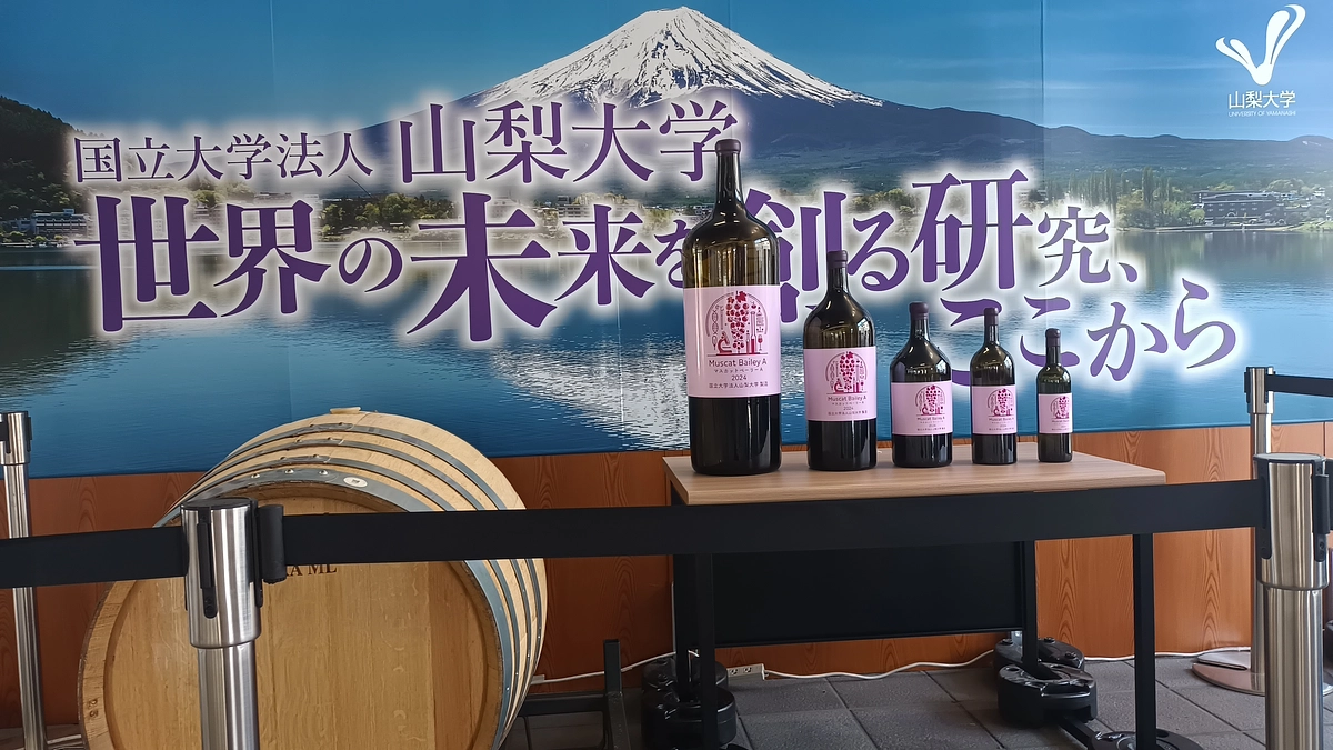 甲府駅でワイン科学研究センターの展示を開催中！ 