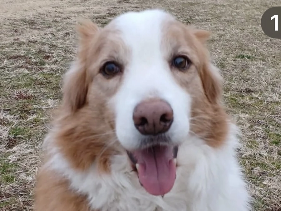 生きているものには等しくある老いと死