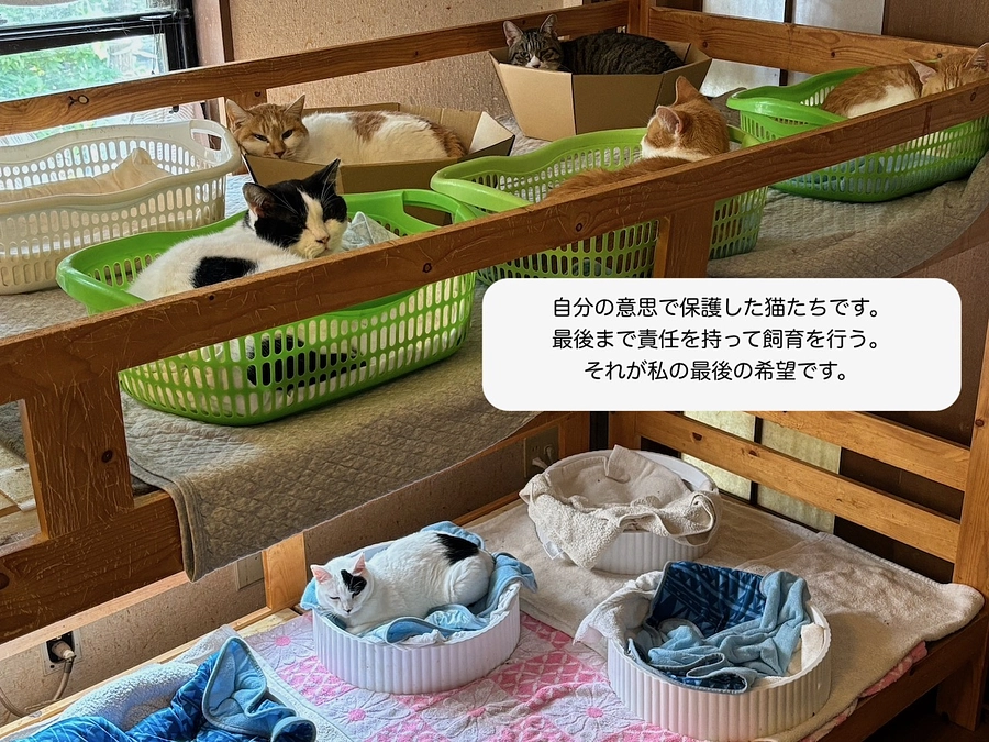 お知らせとお礼/２０２４年６月３０日