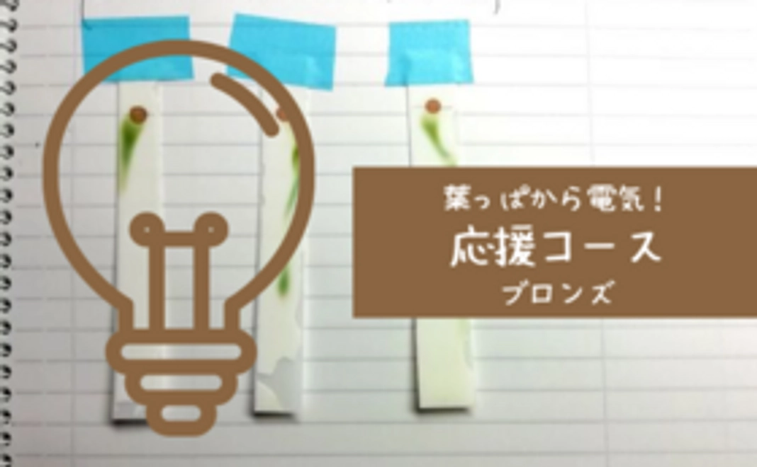 葉っぱから電気！応援コース・ブロンズ