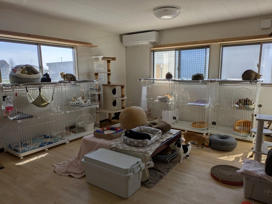 【お詫びとご報告】プロジェクト及びリターン発送完了遅延について