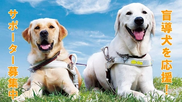 社会で支える盲導犬。｜日本ライトハウスマンスリーサポーター募集！ のトップ画像
