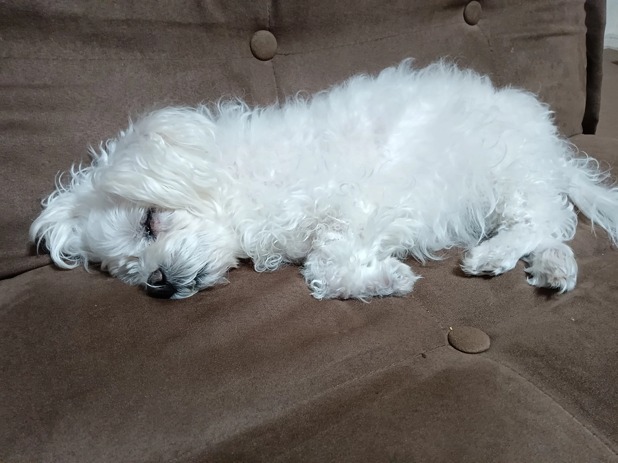 悪化なし元気です✨