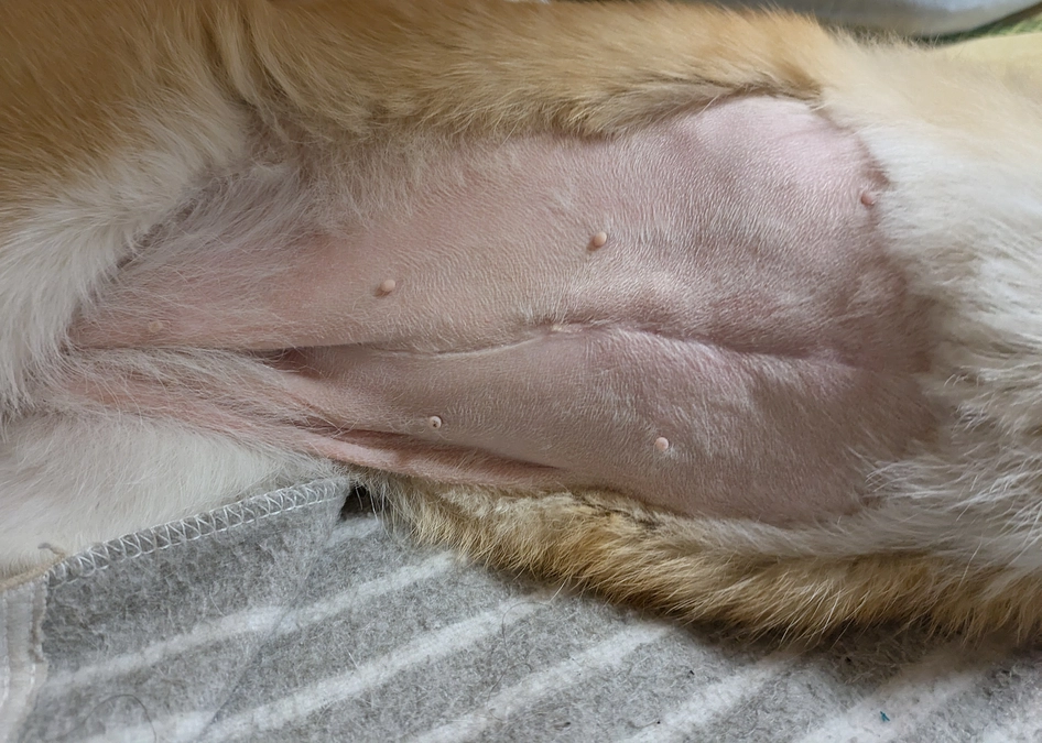 術後の検査に行ってきました！