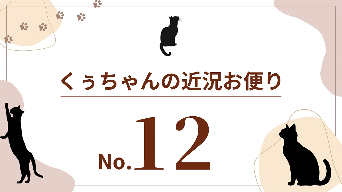 【くぅちゃんの近況おたより（8月19日）】