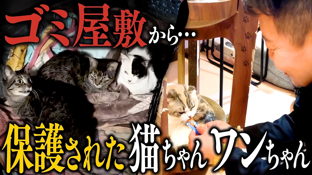 クラファンは100%を超えたい‼️本日のお知らせあります。