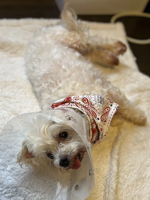 達成率40%まで来ました！