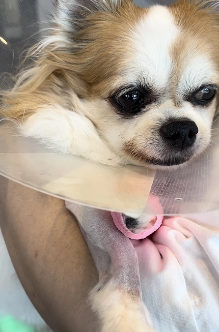 ご一読いただけますと幸いです🙇‍♀️