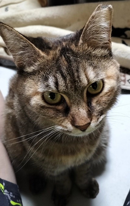 残り４日！最後まで頑張ります！