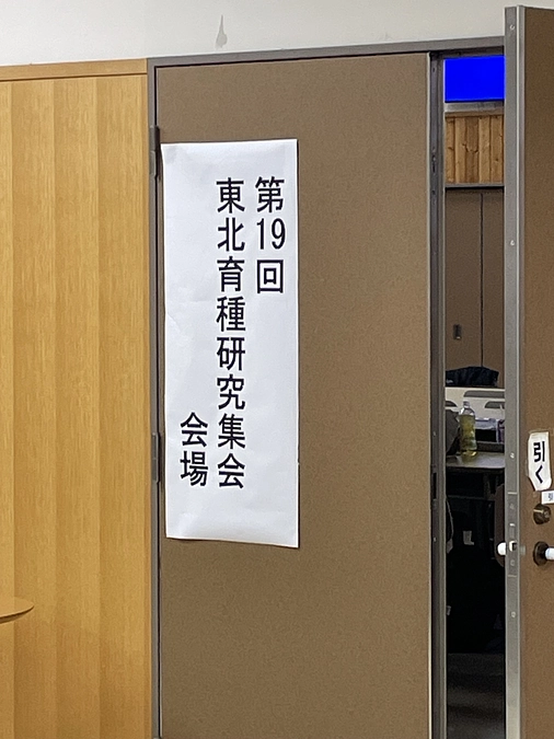 研究集会で発表しました
