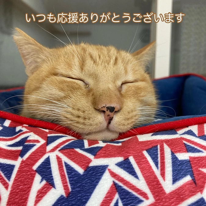 継続寄付9月分収支報告