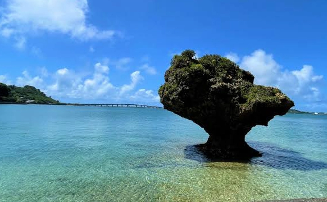 ◎感謝のお手紙