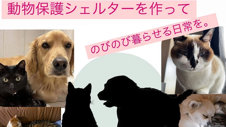 「もう独りぼっちにさせない。保護動物たちの未来をつくるプロジェクト