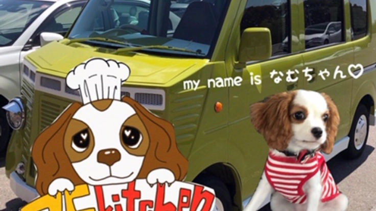 キャバリアのかわいさと農業高校の野菜の美味しさを広めたい！