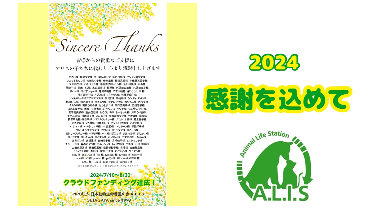 2024年🐶ありがとうございました‼︎🐱