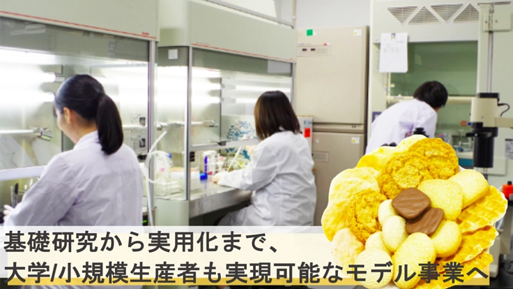 研究ノウハウの蓄積へ。玄米から小麦アレルギーフリー菓子作り！