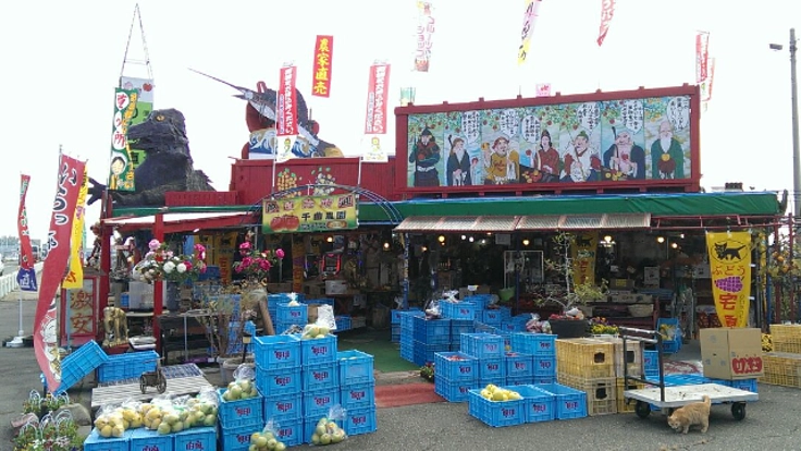 強風にも耐えた長野の美味しいりんごを全国に届けたい！